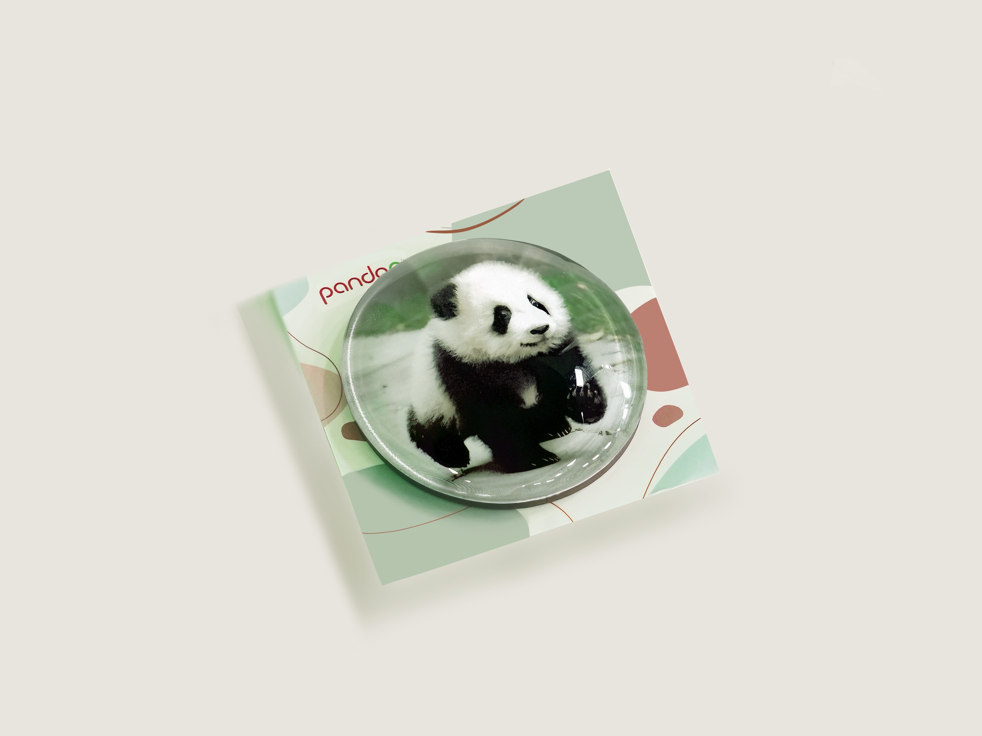 Panda Fridge Magnet Collection