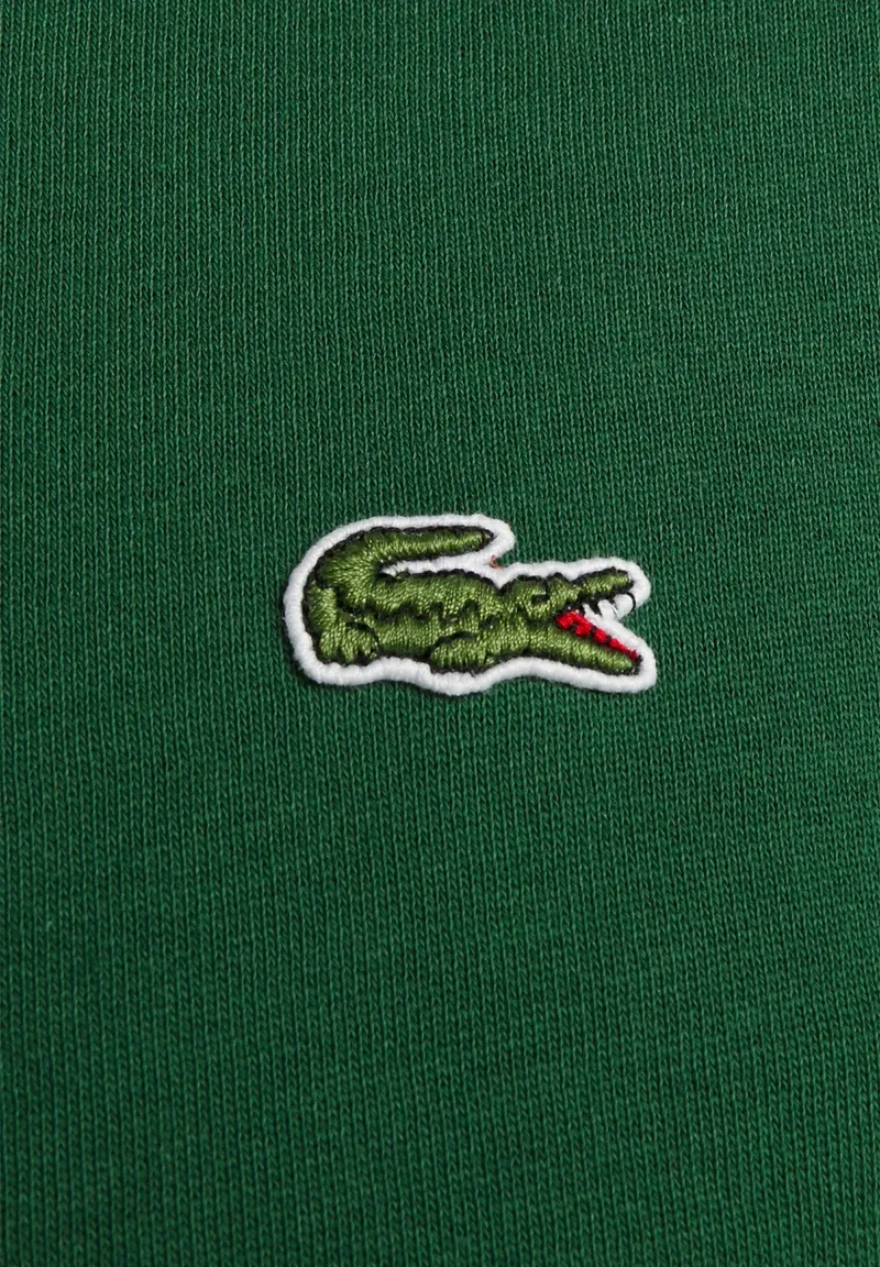 LIFESTYLE UNISEX - Sweat à capuche - vert