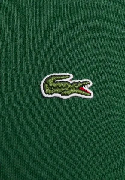 LIFESTYLE UNISEX - Sweat à capuche - vert
