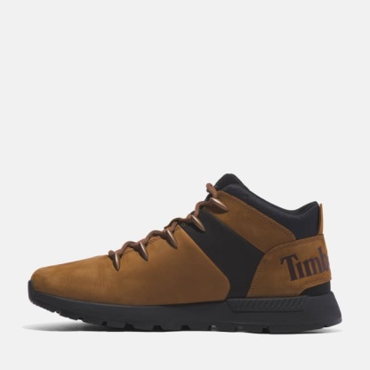 Sprint Trekker Hiking Boot for Men in Brown/Black