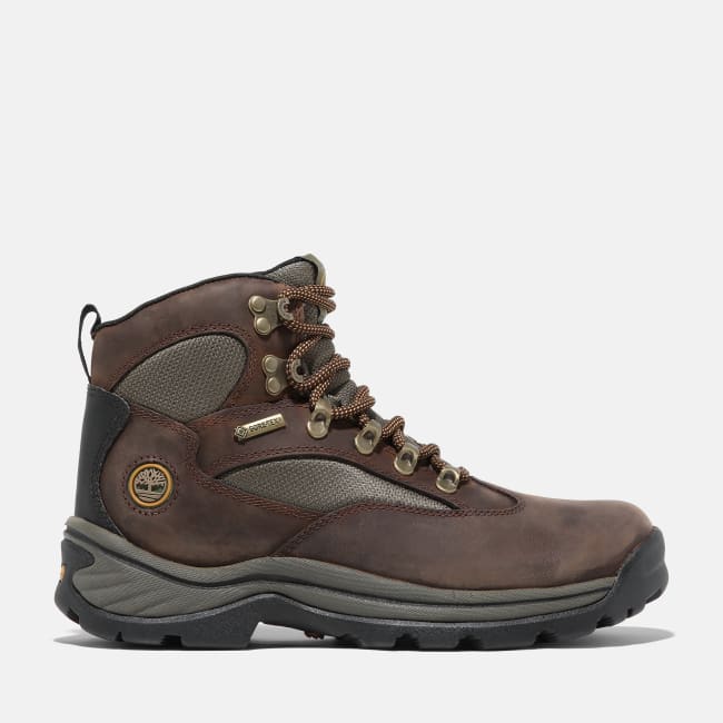 Chocorua Hiking Boot for Women in Brown