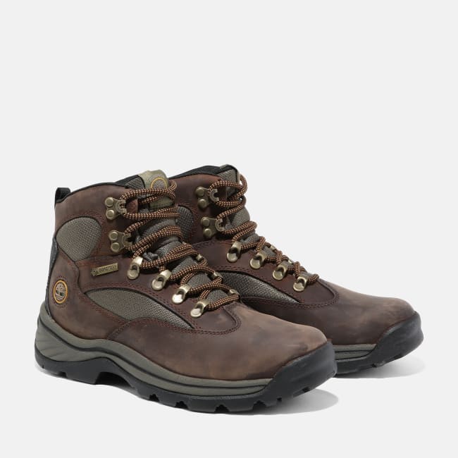 Chocorua Hiking Boot for Women in Brown