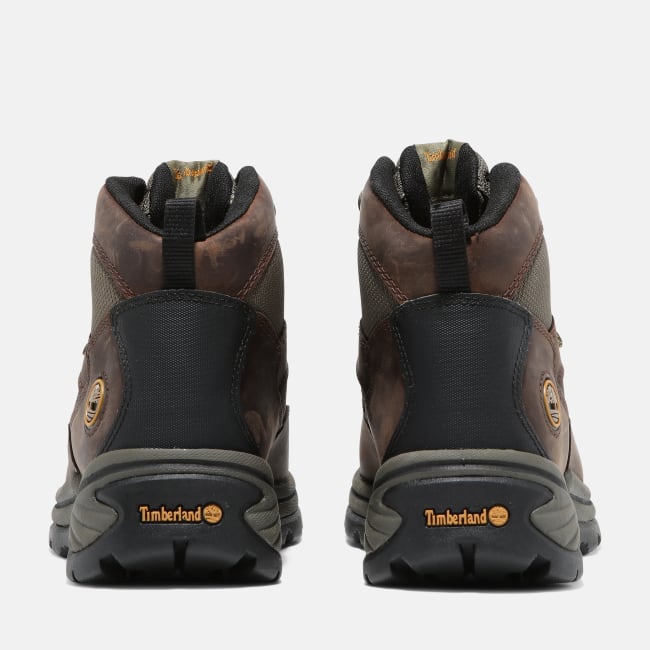 Chocorua Hiking Boot for Women in Brown