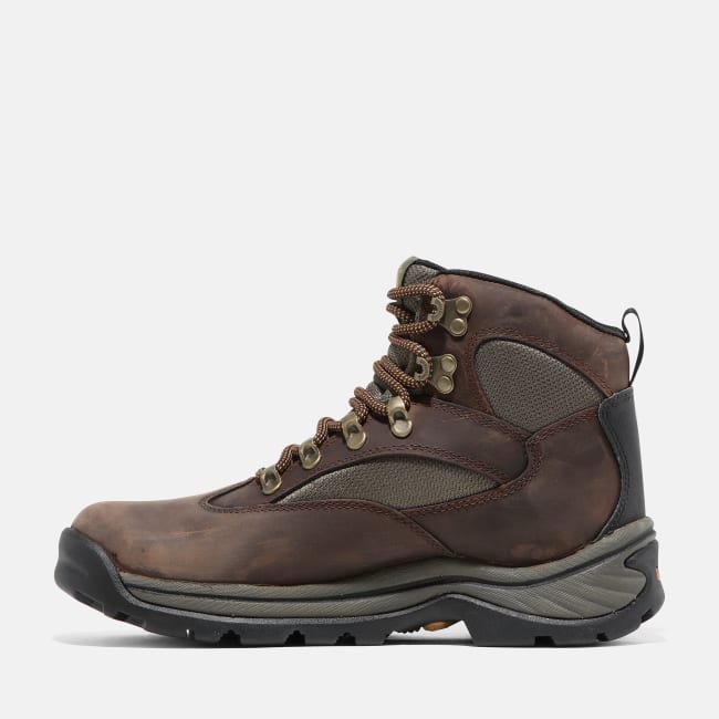 Chocorua Hiking Boot for Women in Brown