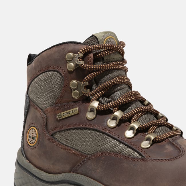 Chocorua Hiking Boot for Women in Brown