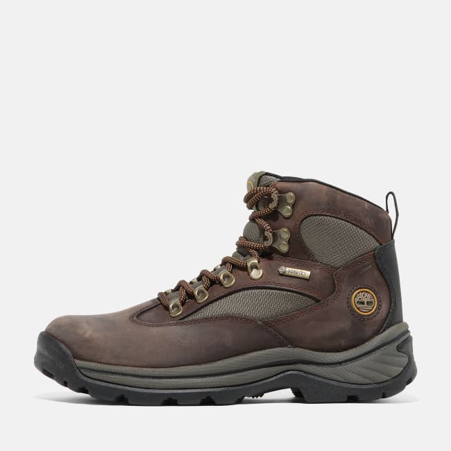 Chocorua Hiking Boot for Women in Brown