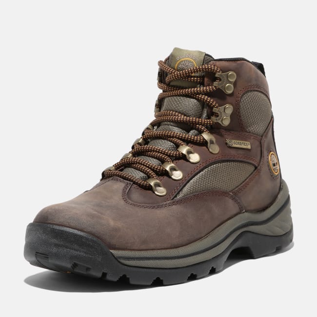 Chocorua Hiking Boot for Women in Brown