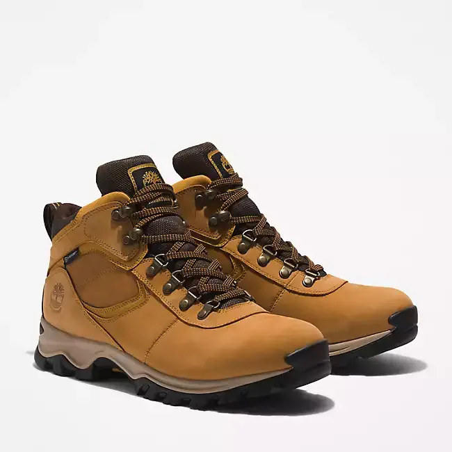 Men's Mt. Maddsen Waterproof Mid Hiking Boot