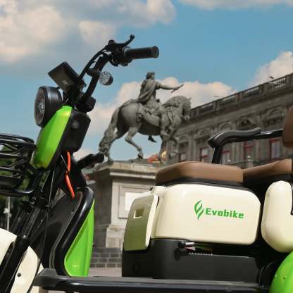 Famille Evobike