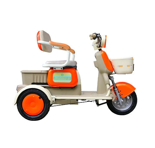 Famille Evobike