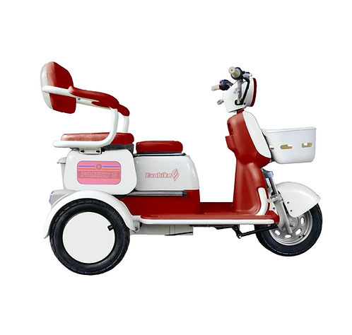 Famille Evobike