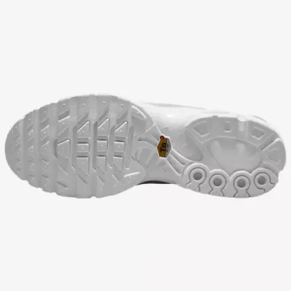Air Max Plus