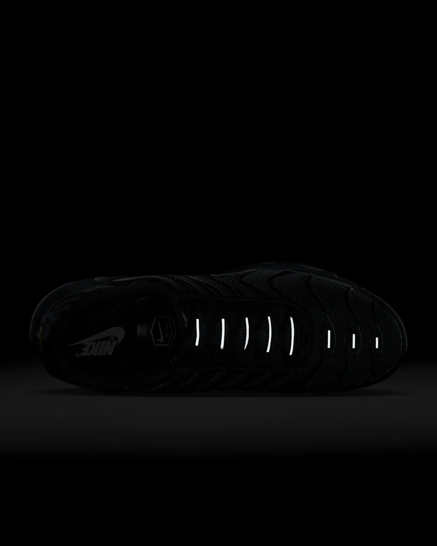 Nike Air Max Plus