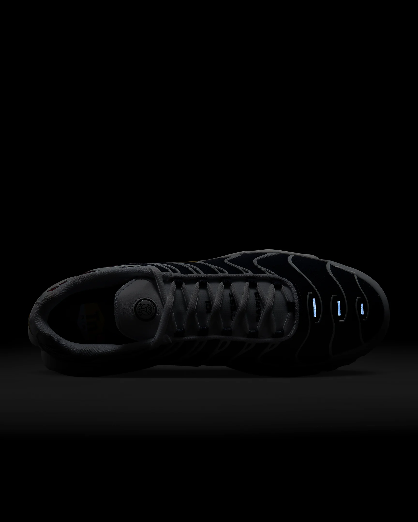 Nike Air Max Plus