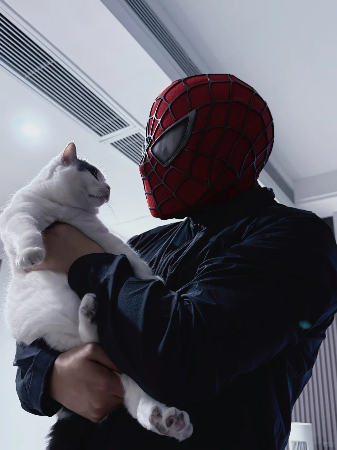 【Premium】Spider-Man Tobey Maguire Full Head Shell Magnetic Eye Mask Cosplay