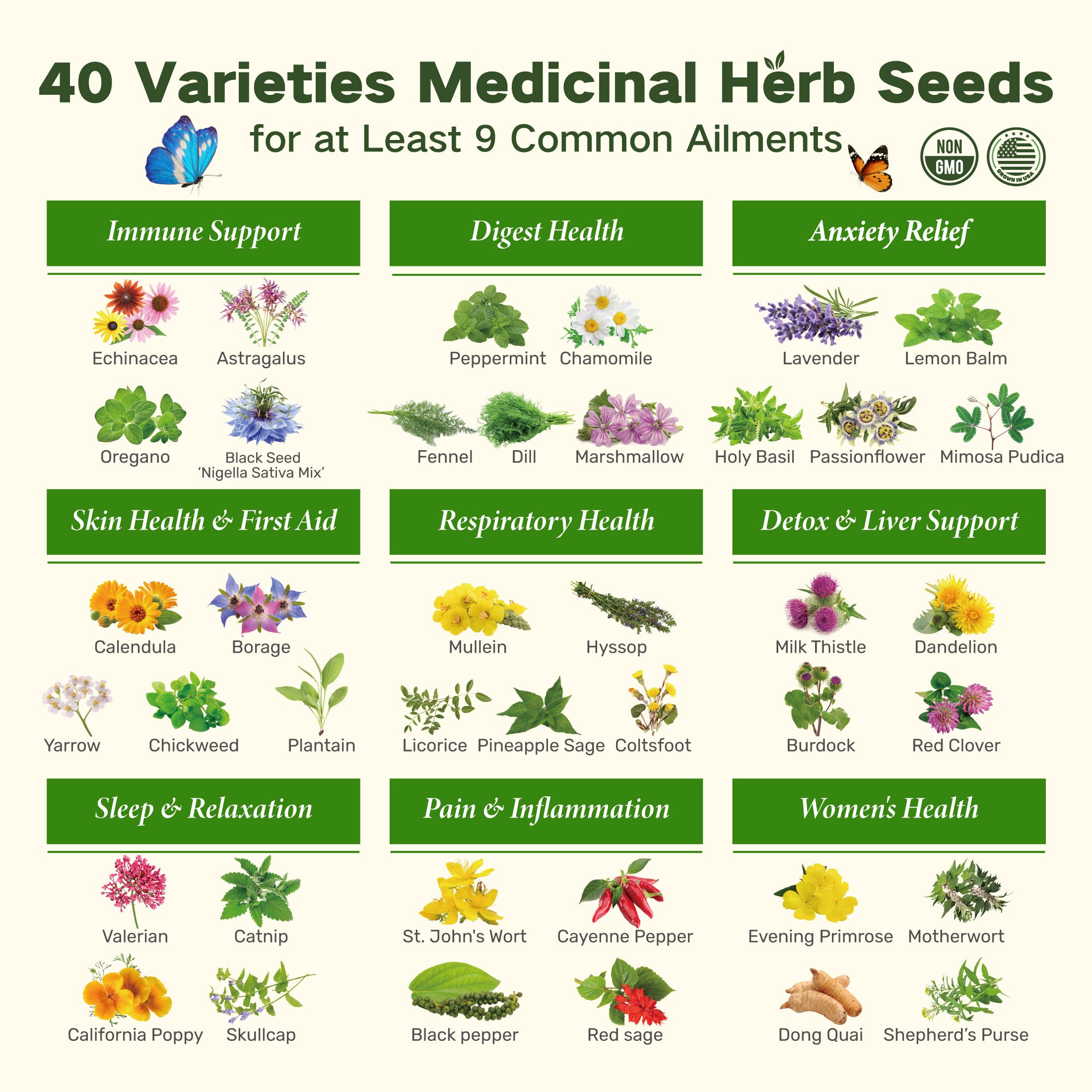 🌿The Ancestral Apothecary Seed Chest: 40 Varieties of Medicinal Herb Seeds 🌱