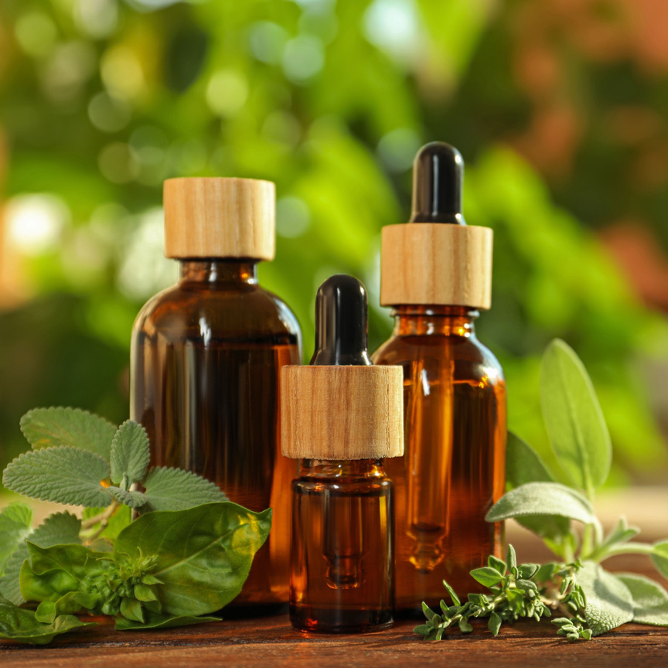 🌿The Ancestral Apothecary Seed Chest: 40 Varieties of Medicinal Herb Seeds 🌱