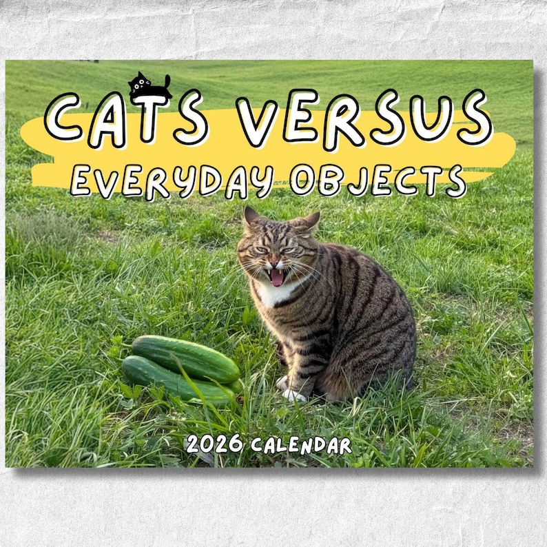 🎄Christmas Gift 50% Off--Cats Versus Everyday Objects 2026 Calendar