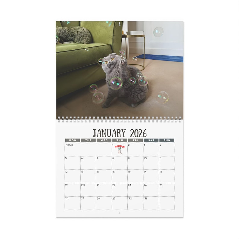 🎄Christmas Gift 50% Off--Cats Versus Everyday Objects 2026 Calendar