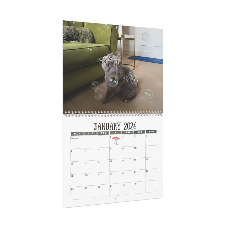 🎄Christmas Gift 50% Off--Cats Versus Everyday Objects 2026 Calendar