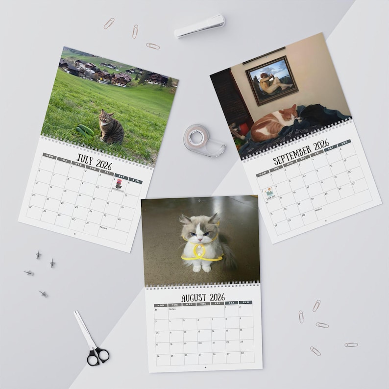 🎄Christmas Gift 50% Off--Cats Versus Everyday Objects 2026 Calendar