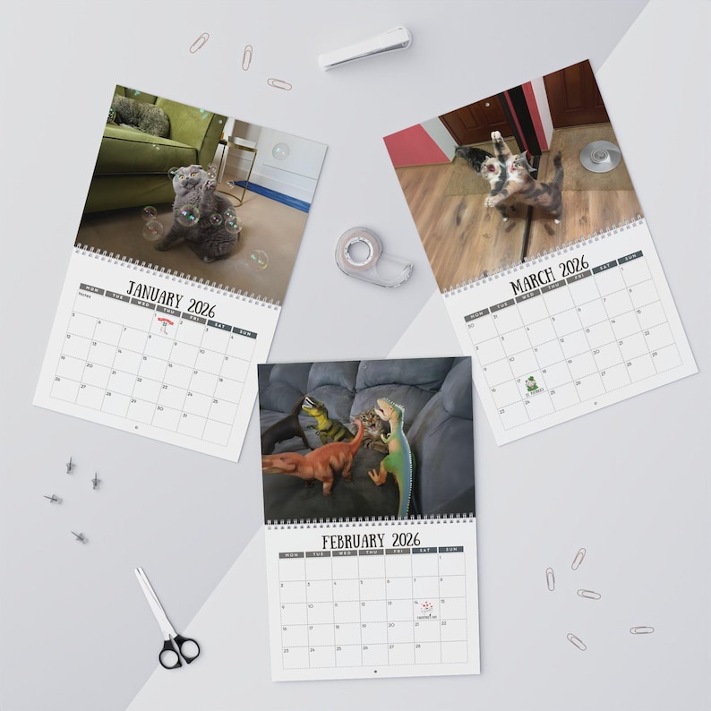 🎄Christmas Gift 50% Off--Cats Versus Everyday Objects 2026 Calendar