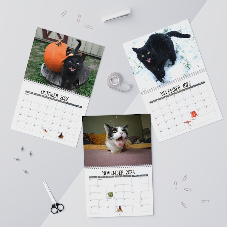 🎄Christmas Gift 50% Off--Cats Versus Everyday Objects 2026 Calendar