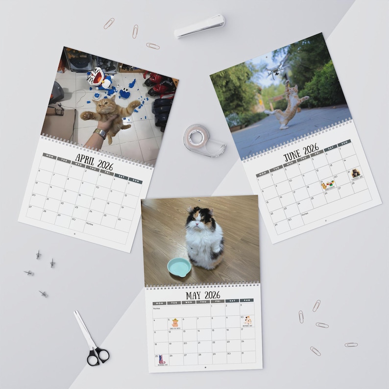 🎄Christmas Gift 50% Off--Cats Versus Everyday Objects 2026 Calendar