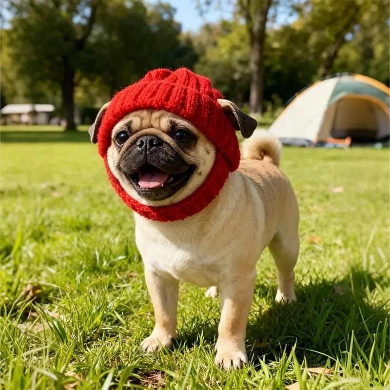🔥LAST DAY 50% OFF - 🐾Red Wool Knit Dog Beanie with Ear Flaps – Warm Winter Hat