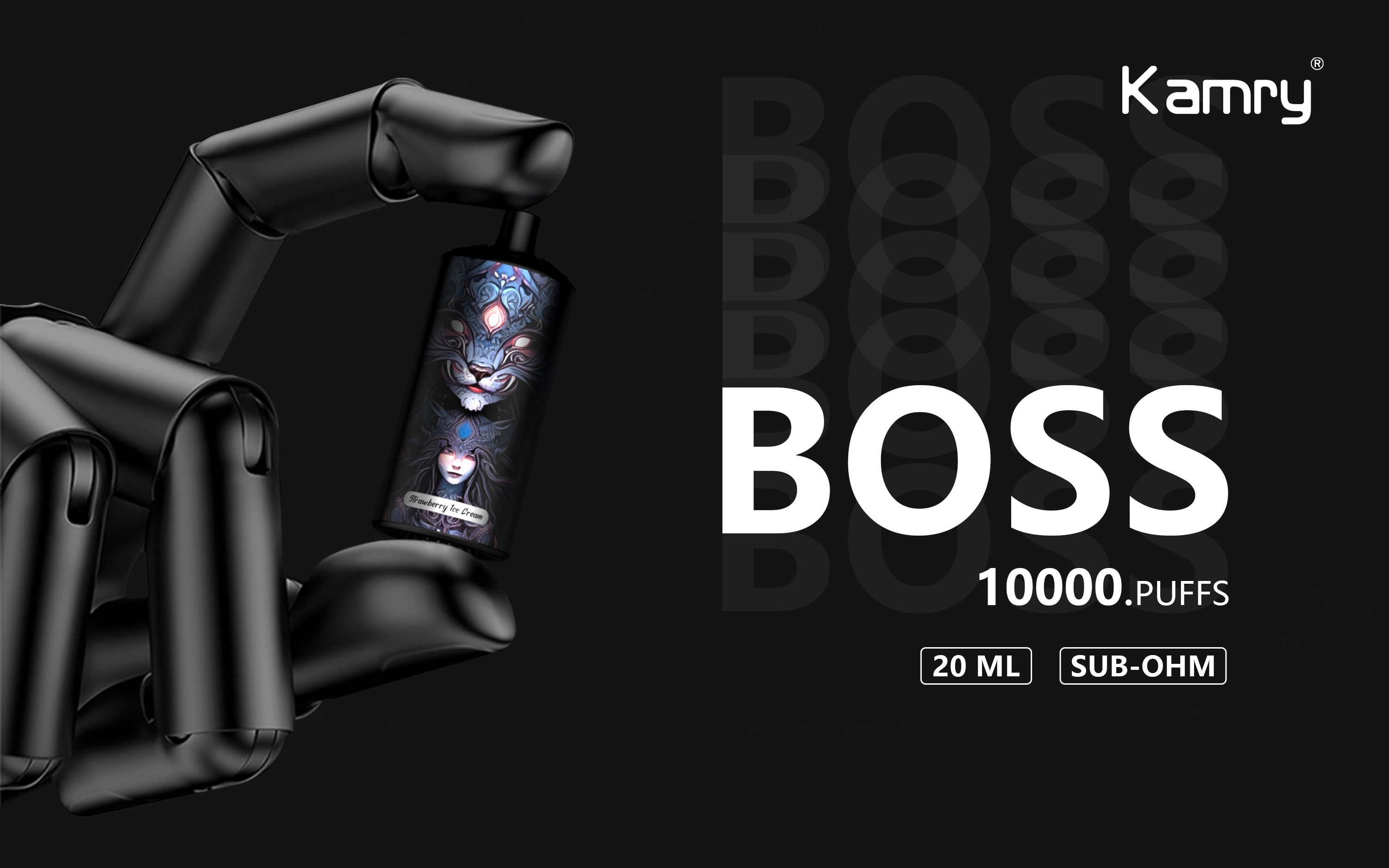 Kamry boss 10000