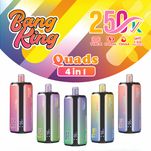 Bang King 250K Disposable Vape – 4-in-1 Taste selection System Rechargeable
