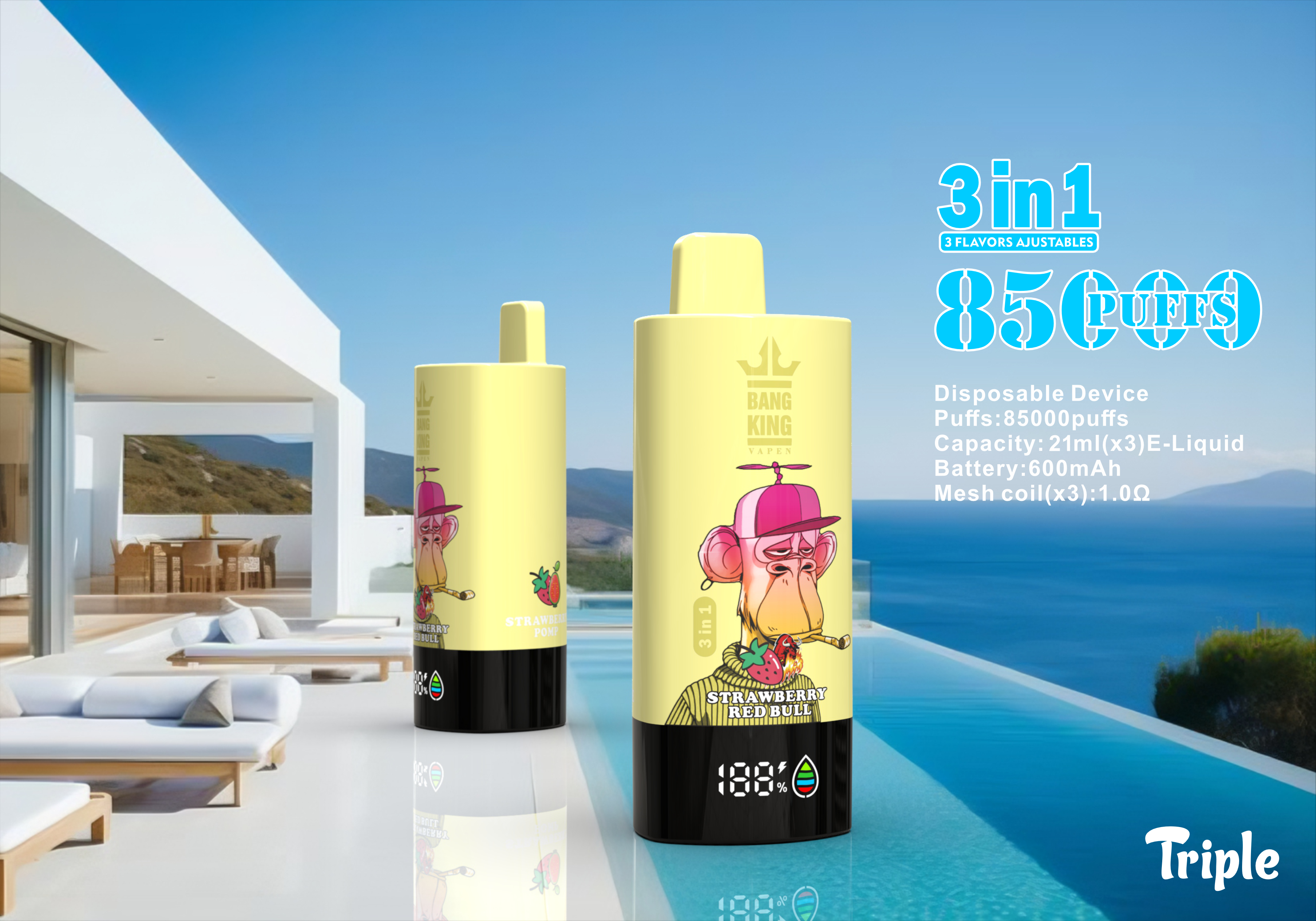 large-image-with-text-box