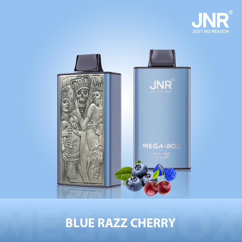 JNR Mega Box 25000 Puffs Dual Mesh Disposable Vape