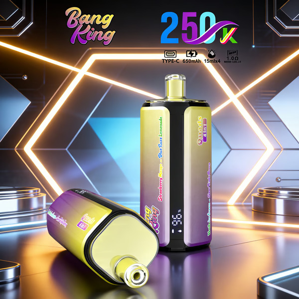Bang King 250K Disposable Vape – 4-in-1 Taste selection System Rechargeable