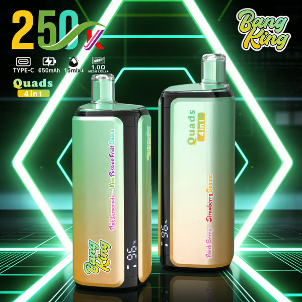 Bang King 250K Disposable Vape – 4-in-1 Taste selection System Rechargeable