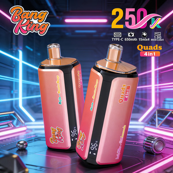 Bang King 250K Disposable Vape – 4-in-1 Taste selection System Rechargeable