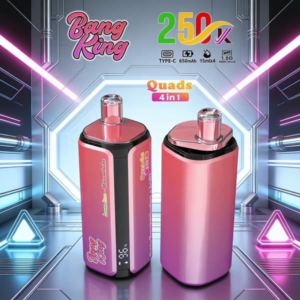 Bang King 250K Disposable Vape – 4-in-1 Taste selection System Rechargeable