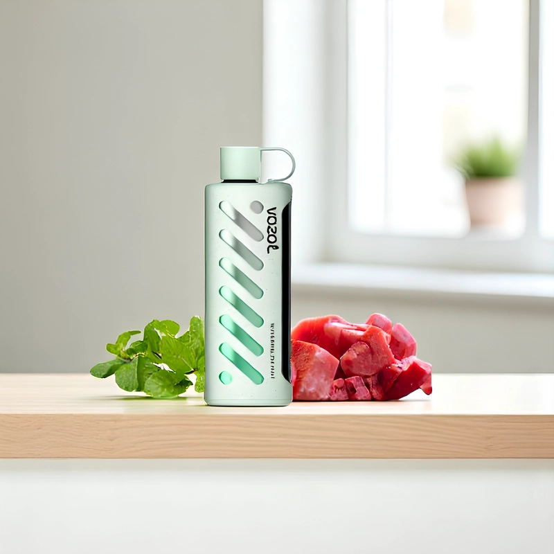 VOZOL Disposable Vapes