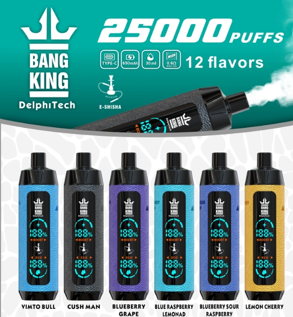 Bang King Shisha 25000 Puffs Disposable Vape