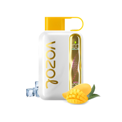 Vozol Star 40000 Puffs 40K  Disposable Vape Wavy Curved Screen Dual Mode 