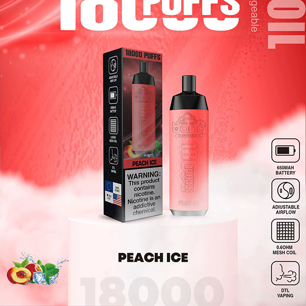 Bang 18000 Puffs Disposable Vape-Kamrytech