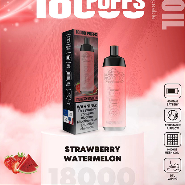 Bang 18000 Puffs Disposable Vape-Kamrytech