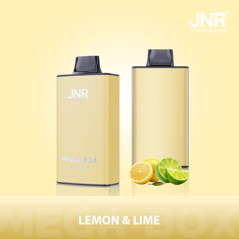 JNR Mega Box 25000 Puffs Dual Mesh Disposable Vape
