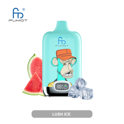 Fumot Digital Box 12000 Puffs Disposable Vape-Kamrytech