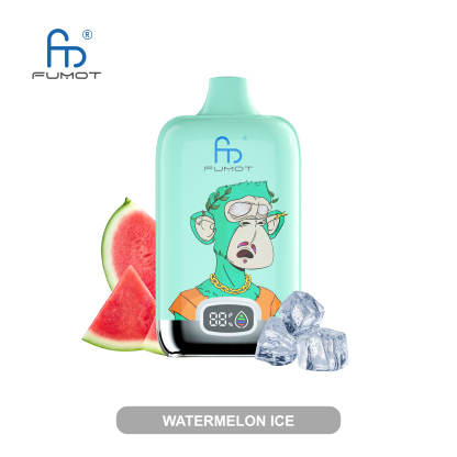 Fumot Digital Box 12000 Puffs Disposable Vape-Kamrytech
