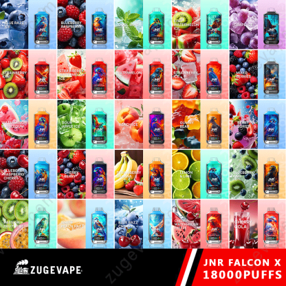 JNR Falcon-X 18000 Puffs Genuine 18K Disposable Vape – Available Individually and Wholesale-Kamrytech