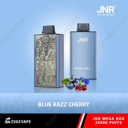 JNR Mega Box 25000 Puffs Dual Mesh Disposable Vape-Kamrytech