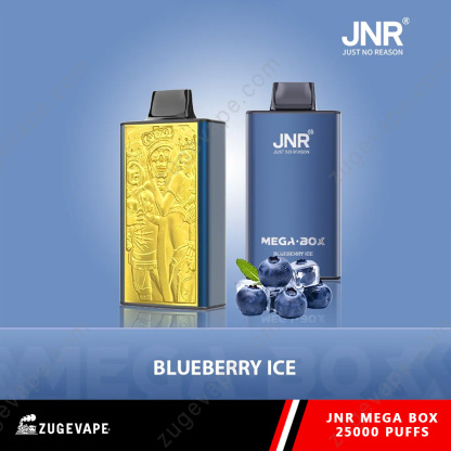 JNR Mega Box 25000 Puffs Dual Mesh Disposable Vape-Kamrytech
