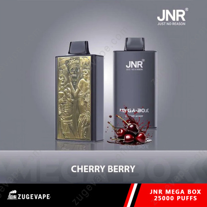 JNR Mega Box 25000 Puffs Dual Mesh Disposable Vape-Kamrytech
