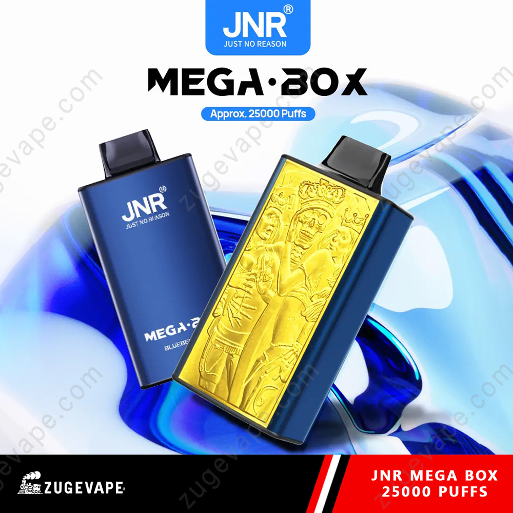 JNR Mega Box 25000 Puffs Dual Mesh Disposable Vape-Kamrytech